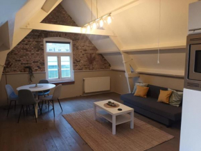 attic apartment in the center